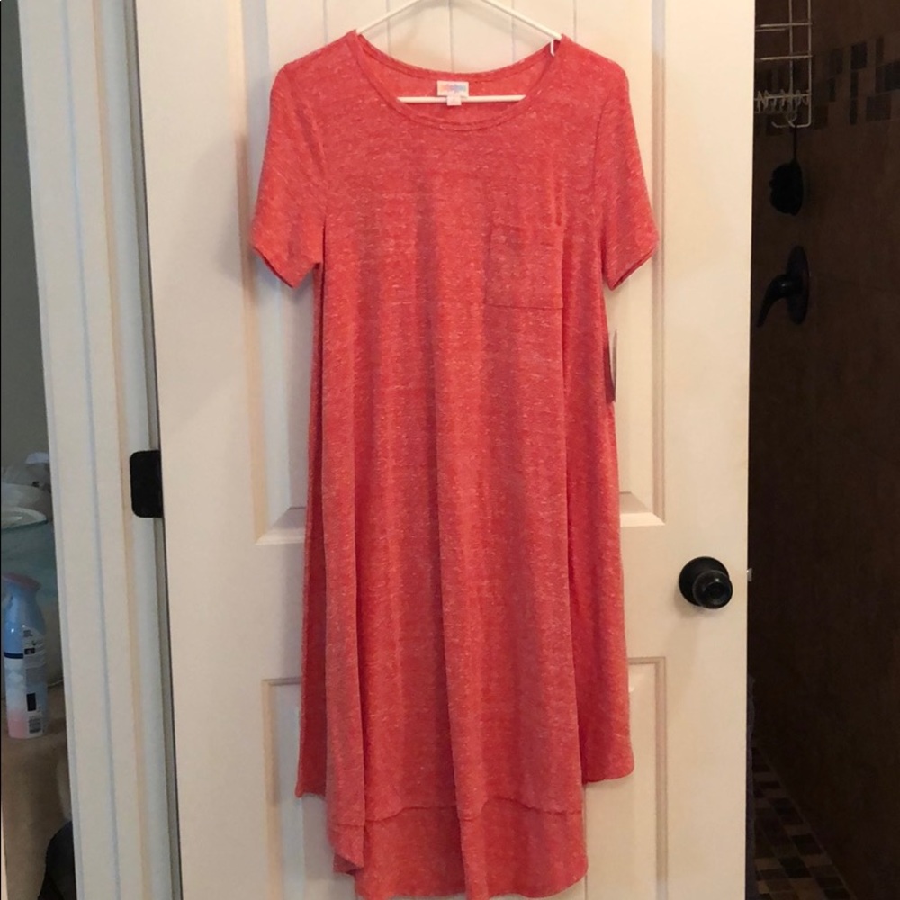Lularoe brick Carley Dress